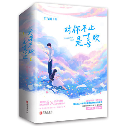 ドラマ小説/ 對你不止是喜歡（全二冊）中国版　陌言川　対你不止是喜歓の画像