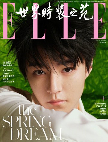 【メール便送料無料】雑誌/ ELLE世界時裝之苑 2023年3月 中国版　王俊凱（ワン・ジュンカイ / TFBOYS）：両面表紙！記事掲載！ エル　中国雑誌の画像