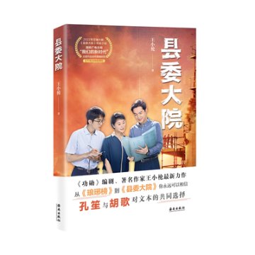 ドラマ小説/ 縣委大院 中国版　王小槍　Bright Future　県委大院 中国書籍の画像