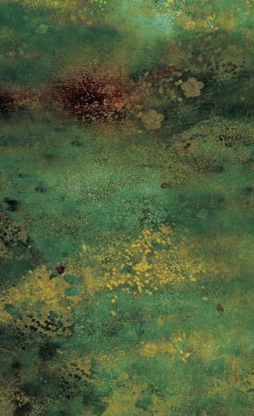 シナリオ/コウモリ 脚本 韓国版 台本集 パク・チャヌク チョン・ソギョン 渇き 韓国書籍の画像