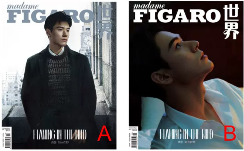 【メール便送料無料】雑誌/ Madame FIGARO 費加羅世界雜志 2023年8月 中国版　龔俊（ゴン・ジュン）：表紙2種類選択可！記事掲載！ マダムフィガロ　中国雑誌の画像