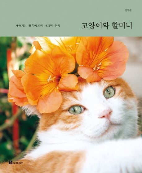 エッセイ/猫とおばあちゃん 韓国版 チョン・ヒョンジュン　韓国書籍の画像