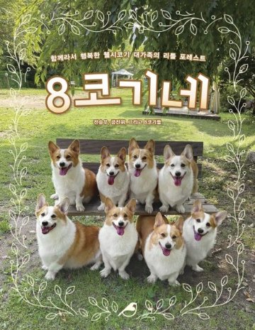 エッセイ/8コーギーの家 　韓国版 　チョン・スンウ　コン・ジヌィ　韓国書籍の画像