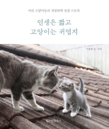 エッセイ/人生は短く、猫はかわいい 　韓国版 　イ・ヨンハン　韓国書籍の画像