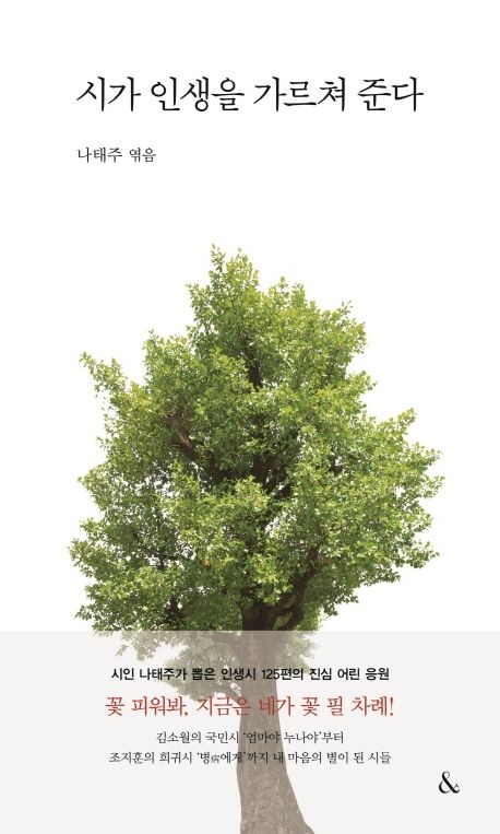 詩集/詩が人生を教えてくれる　韓国版　ナ・テジュ　韓国書籍の画像