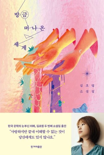 小説/この世界からは出ていくけれど　韓国版　キム・チョヨプ　韓国書籍の画像