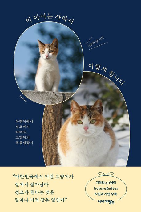 エッセイ/この子は育ってこんなふうになります 　韓国版 　イ・ヨンハン　韓国書籍の画像