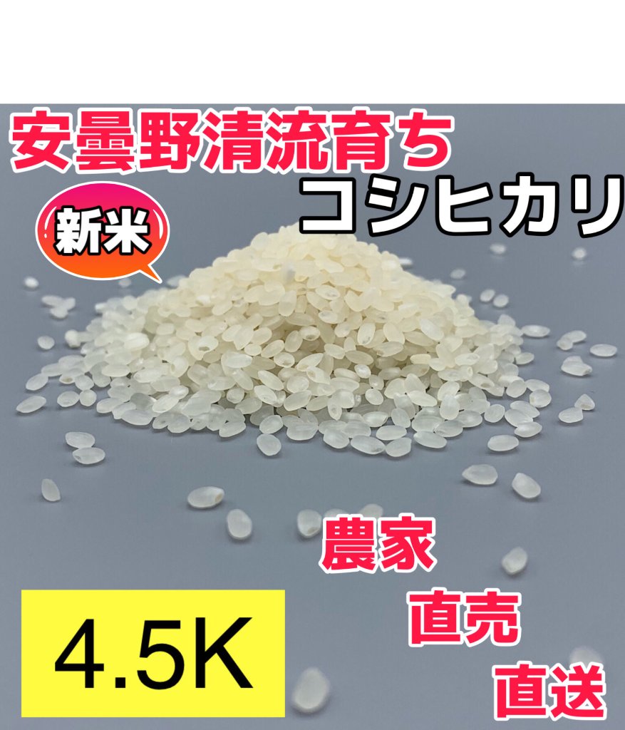 R4年産・新米【コシヒカリ白米 18.8kg一等米】安曇野産自家製