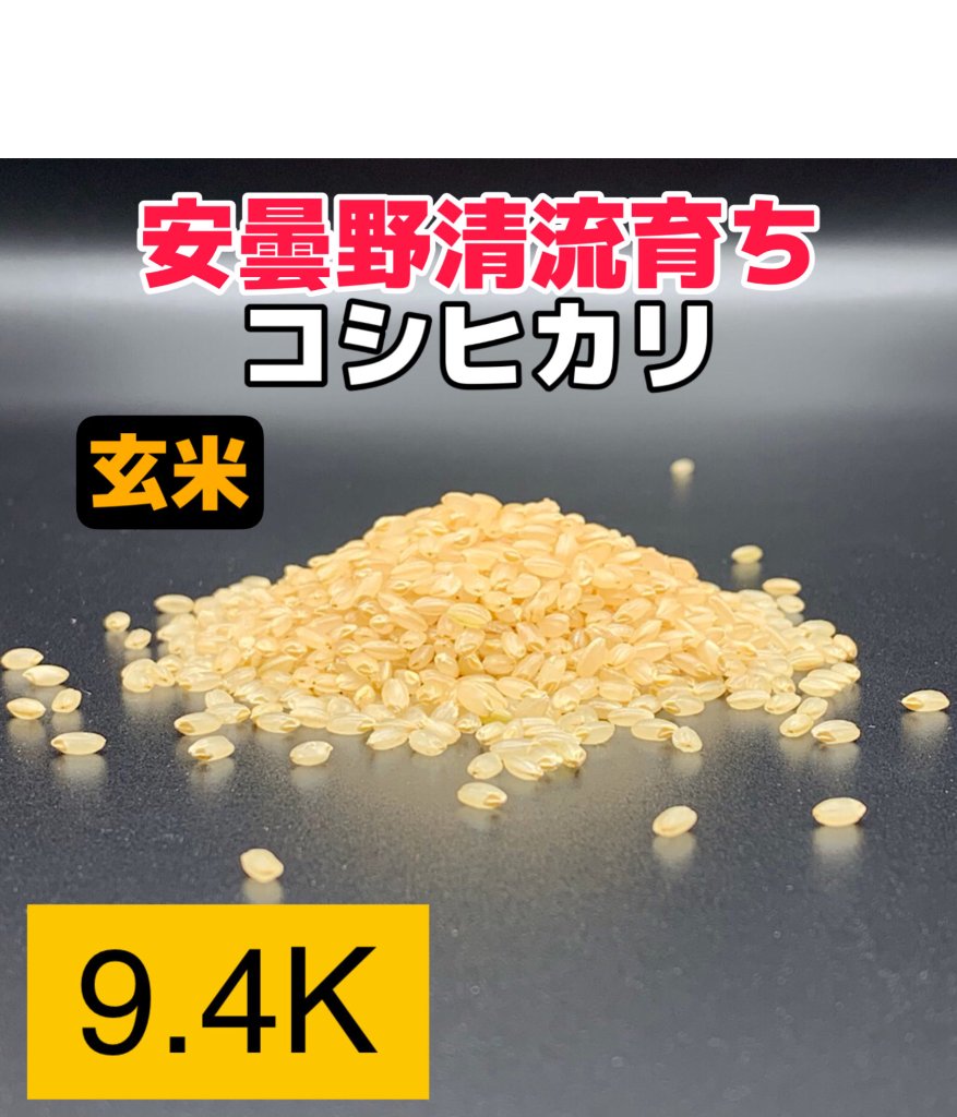 コシヒカリ玄米9.4kg】安曇野産自家製 送料無料（北海道・九州・沖縄は