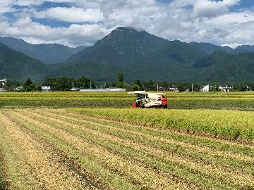 乾式無洗米【コシヒカリ白米9.4kg一等米】安曇野産自家製　送料無料（北海道・九州・沖縄は送料有料）の画像