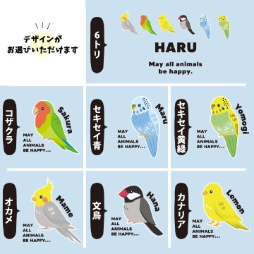 [宅配便送料無料] 名入れ ショルダーバッグ 肩掛け かばん トートバッグ 鳥 オカメインコ 文鳥 セキセイインコ コザクラインコ カナリア ［ スイッチング 鳥 ] ポケット 内ポケット付きの画像