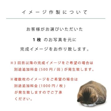 愛犬 手形 足形 写真入 [ 愛犬 メモリアル キャンバス ] ナチュラル 仔犬 成長記録 日付 性別 名前 命名 フォト フレーム 額 犬 記念 ペット 仏具 遺影 オーダー 位牌 お供え 家族 の画像