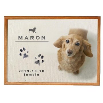 愛犬 手形 足形 写真入 [ 愛犬 メモリアル キャンバス ] ナチュラル 仔犬 成長記録 日付 性別 名前 命名 フォト フレーム 額 犬 記念 ペット 仏具 遺影 オーダー 位牌 お供え 家族 の画像