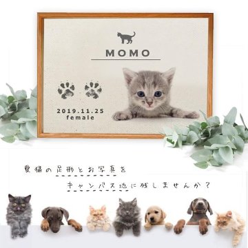 愛猫 手形 足形 写真入 [ 猫用 メモリアル キャンバス ] ナチュラル ネコ 成長記録 日付 性別 名前 命名 フォト フレーム 額 ねこ 記念 ペット 仏具 遺影 オーダー 位牌 お供え 家族 の画像