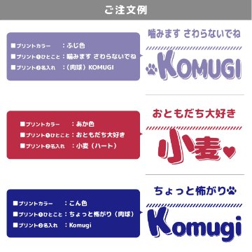 長袖 ロンパース オリジナル 好きな言葉が入る 名入れ [ 長ロン ひとことネーム ] お誕生日 プレゼント アレルギー 命名 自己紹介 赤ちゃん こども服 ベビー おそろい 兄弟 姉妹 リンク お出の画像