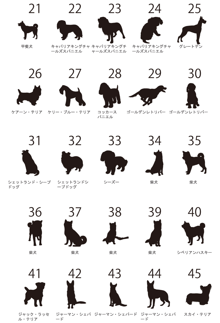 【宅配便商品】人気商品 名入れ ショルダー 肩掛け バッグ 愛犬用 （ 犬シルエットラベル チャーム付 ショルダー バッグ ）名入れ ネーム 名前 犬種 散歩 犬 イヌ いぬ お出掛けの画像