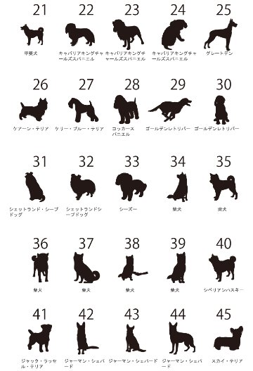 【宅配便商品】人気商品 名入れ ショルダー 肩掛け バッグ 愛犬用 （ 犬シルエットラベル チャーム付 ショルダー バッグ ）名入れ ネーム 名前 犬種 散歩 犬 イヌ いぬ お出掛けの画像