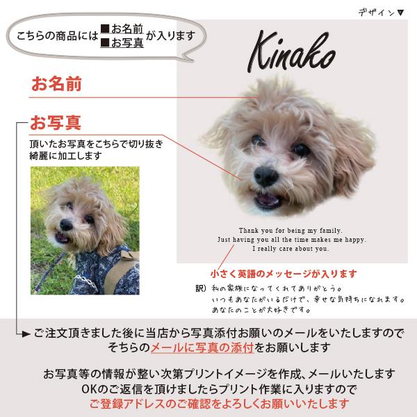 【宅配便商品】人気商品 名入れ ショルダー 肩掛け バッグ 愛犬用 （ 犬シルエット チャーム付 ショルダー バッグ ）名入れ ネーム 名前 犬種 散歩 犬 イヌ いぬ お出掛け ペットの画像