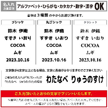 〈布用〉お名前アイロンプリントシート（DTF） A4 名入れ ネーム 名前 子ども 入園 入学 準備 グッズ 犬 イヌ 猫 ネコの画像