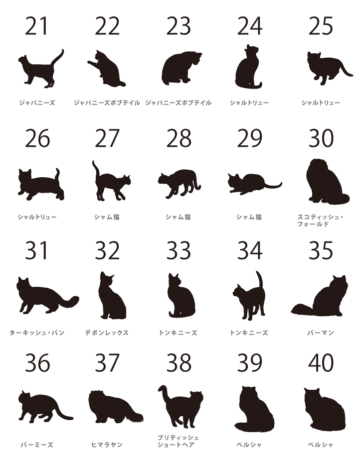 人気商品 名入れ ショルダー 肩掛け バッグ 愛猫用 （ 猫シルエットラベル 多機能バッグ）名入れ ネーム 名前 猫種 マザー 猫 ネコ ねこ CAT name cat ニャン にゃん お出掛けの画像