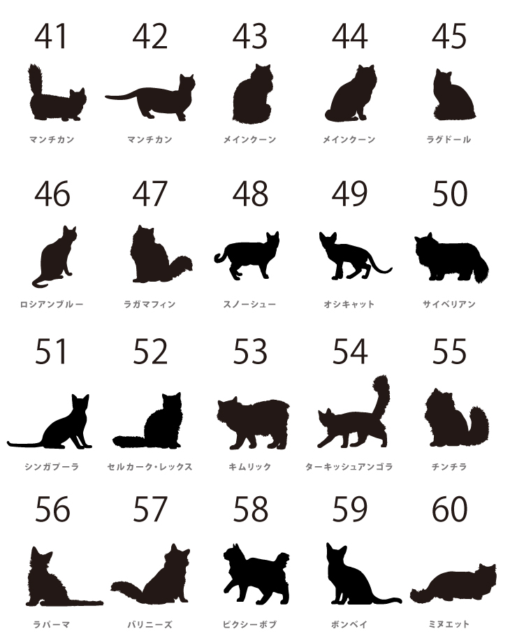 人気商品 名入れ ショルダー 肩掛け バッグ 愛猫用 （ 猫シルエットラベル 多機能バッグ）名入れ ネーム 名前 猫種 マザー 猫 ネコ ねこ CAT name cat ニャン にゃん お出掛けの画像