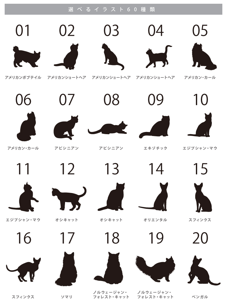 人気商品 名入れ ショルダー 肩掛け バッグ 愛猫用 （ 猫シルエットラベル 多機能バッグ）名入れ ネーム 名前 猫種 マザー 猫 ネコ ねこ CAT name cat ニャン にゃん お出掛けの画像