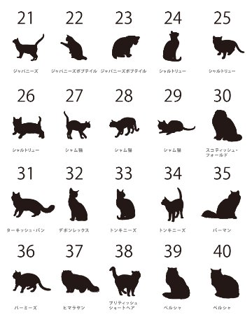 人気商品 名入れ ショルダー 肩掛け バッグ 愛猫用 （ 猫シルエットラベル 多機能バッグ）名入れ ネーム 名前 猫種 マザー 猫 ネコ ねこ CAT name cat ニャン にゃん お出掛けの画像