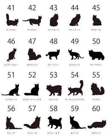 人気商品 名入れ ショルダー 肩掛け バッグ 愛猫用 （ 猫シルエットラベル 多機能バッグ）名入れ ネーム 名前 猫種 マザー 猫 ネコ ねこ CAT name cat ニャン にゃん お出掛けの画像