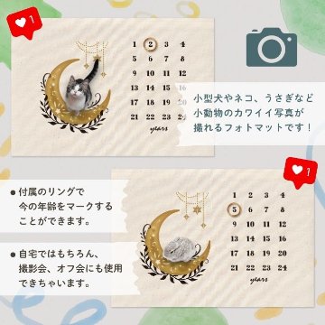 【小型ペット用】年齢フォトマット　ムーンデザイン　[ moon ]   月 星 名入れ 犬 猫 小動物 うさぎ オシャレ 人気 映え 写真 撮影アイテムの画像