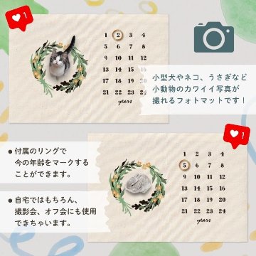 【小型ペット用】年齢フォトマット　リースデザイン　[ wreath ]   草花 ナチュラル 名入れ 犬 猫 小動物 うさぎ オシャレ 人気 映え 写真 撮影アイテムの画像