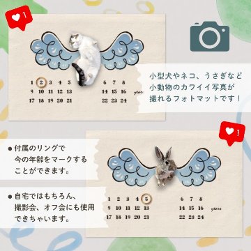 【小型ペット用】年齢フォトマット　ウィングデザイン　[ wing ]   翼 羽 天使 エンジェル 名入れ 犬 猫 小動物 うさぎ オシャレ 人気 映え 写真 撮影アイテムの画像