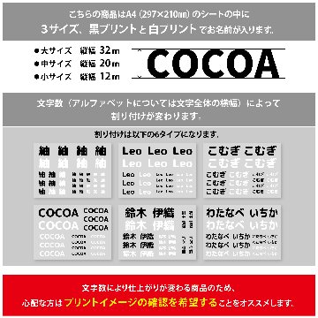 〈布用〉お名前アイロンプリントシート（DTF） A4 名入れ ネーム 名前 子ども 入園 入学 準備 グッズ 犬 イヌ 猫 ネコの画像