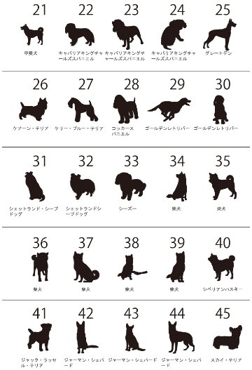 愛犬用 ポーチ 犬 いぬ シルエット おしゃれ 人気商品 名入れ お名前入り （ 犬シルエットラベル ポーチ ）名入れ ネーム 名前 犬種 散歩 イヌ プレゼント 誕生日 バレンタイン ギフト 出産祝の画像