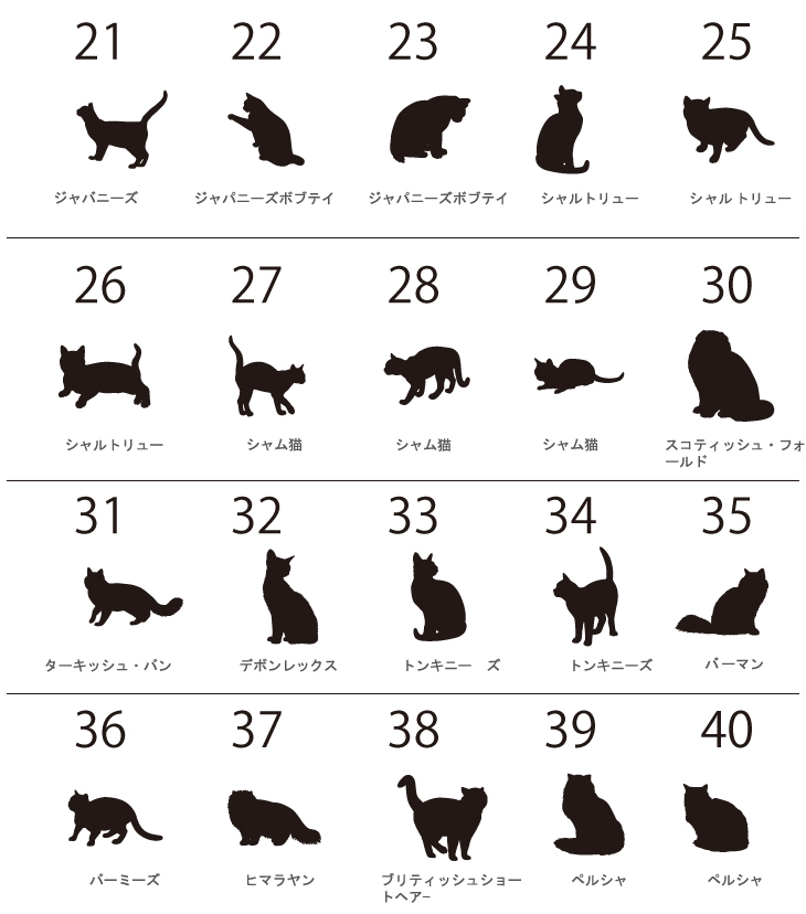 猫 ポーチ ねこ ネコ 愛猫 お名前入り 人気商品 名入れ ネコシルエット ペットグッズ ねこのひ 猫の日 ネコの日 （ 猫シルエットラベル ポーチ ）猫種 名前 なまえ プレゼント おでかけ 出産祝の画像