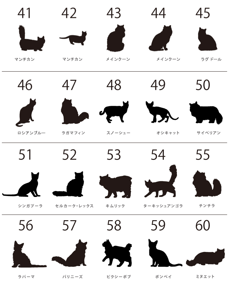 猫 ポーチ ねこ ネコ 愛猫 お名前入り 人気商品 名入れ ネコシルエット ペットグッズ ねこのひ 猫の日 ネコの日 （ 猫シルエットラベル ポーチ ）猫種 名前 なまえ プレゼント おでかけ 出産祝の画像