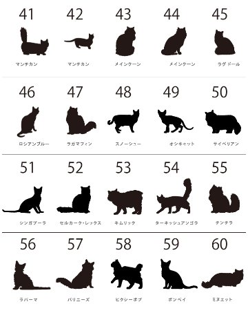 猫 ポーチ ねこ ネコ 愛猫 お名前入り 人気商品 名入れ ネコシルエット ペットグッズ ねこのひ 猫の日 ネコの日 （ 猫シルエットラベル ポーチ ）猫種 名前 なまえ プレゼント おでかけ 出産祝の画像
