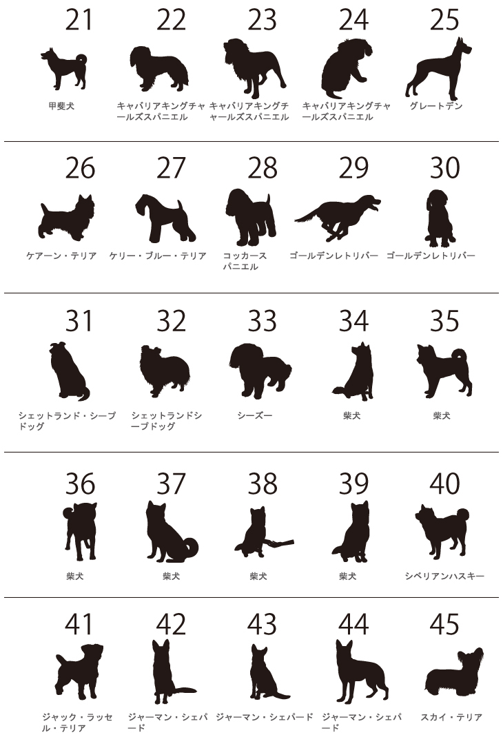 人気商品 名入れ ショルダー 肩掛け バッグ 愛犬用 （ 犬シルエットラベル 多機能バッグ）名入れ ネーム 名前 犬種 マザー 散歩 犬 イヌ いぬ　dog name bag ワン わん お出掛けの画像