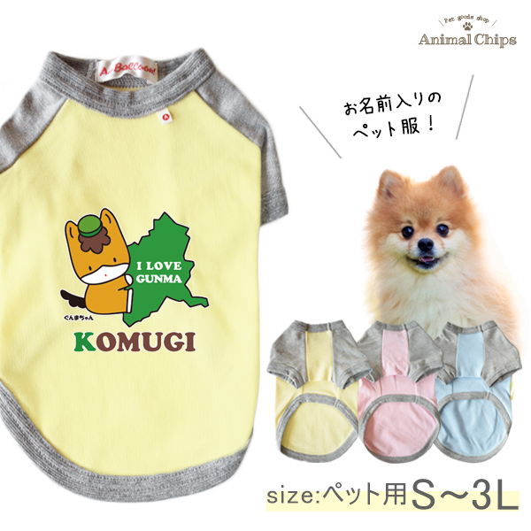 ぐんまちゃん 群馬県 ゆるキャラ ペット 服 半袖 ラグラン お名前入り オリジナル 犬 わんちゃん ［ ぐんまちゃん（だっこ）］オーダーメイド 飼い主様とおそろい お名前入 ワン おさんぽ お散歩 の画像