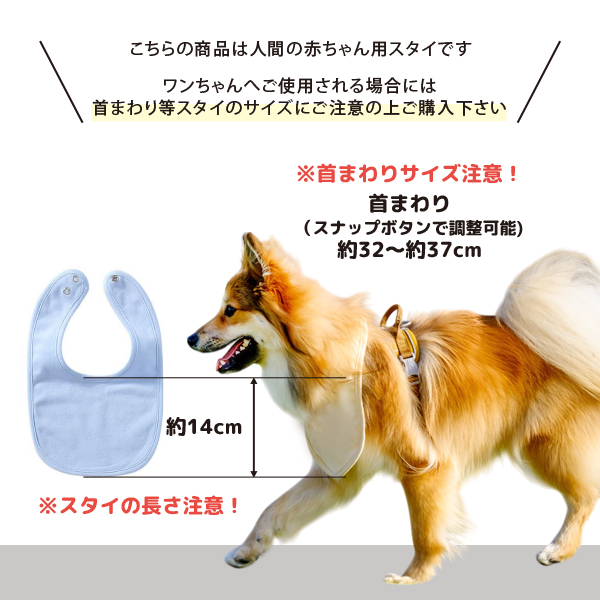 スタイ注意事項