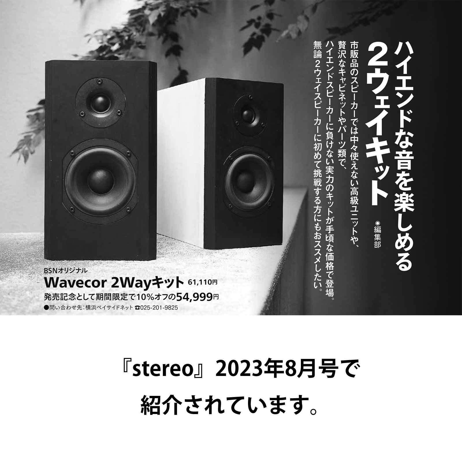 BSN オリジナル Wavecor 2Way キット（ペア）※『stereo』2023年8月号で紹介の画像