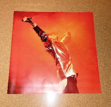 MICHAEL JACKSON'S THIS IS IT  【特別限定版：4枚組LP】の画像