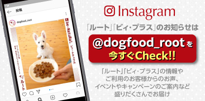 Instagram@dogfood_root