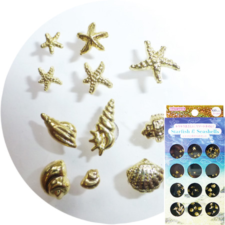 スターフィッシュ＆シーシェルズ(SAS-1)の画像