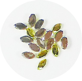 UVレジン用 ジュエリーコレクション(RJC-76)の画像