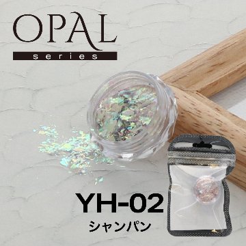 OPAL オパールシリーズ シャンパン(YH-02)の画像