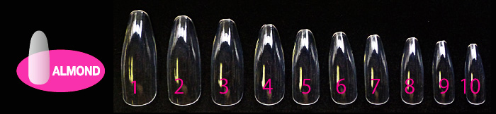 100プレミア クリア ティップス(PT-19)の画像