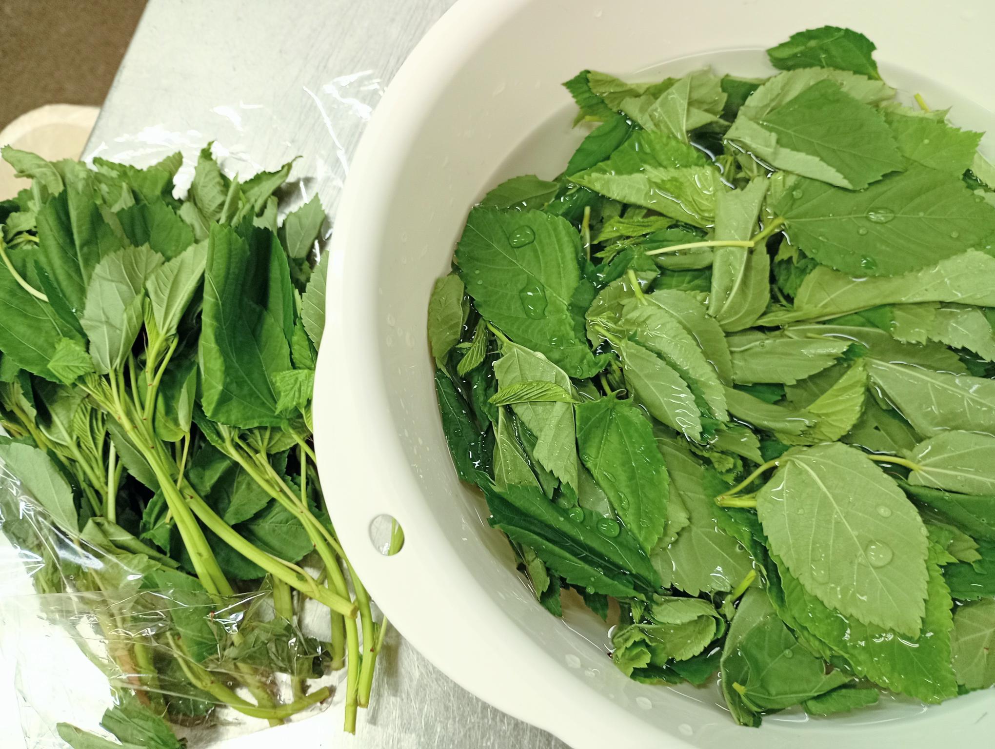 お米入り食パン　モロヘイヤ＆カシューナッツの画像