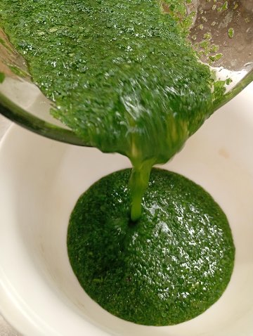 お米入り食パン　モロヘイヤ＆カシューナッツの画像