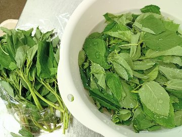 お米入り食パン　モロヘイヤ＆カシューナッツの画像