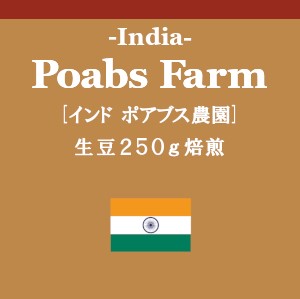 インド ポアブス農園 (コーヒー生豆250g焙煎)の画像